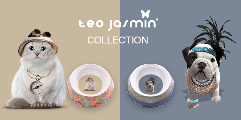 collection teo jasmin pour votre chien et votre chat