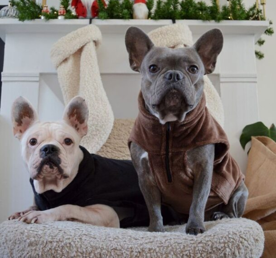 Des Promenades Sûres
& Stylées avec la Sellerie cuir